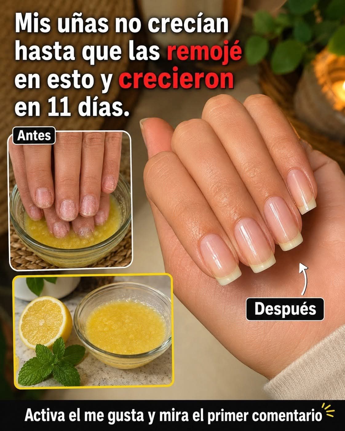 1820098e 7a66 43ca 8aa3 9b5957609cb1