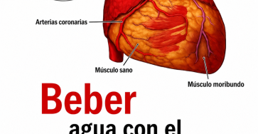 F11b0c54 aab0 47ca b6a7 76d23cbf9e9f